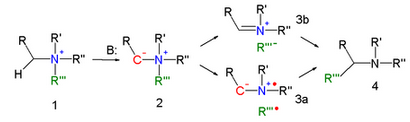 1256_Stevens-rearrangement-mechanism.png