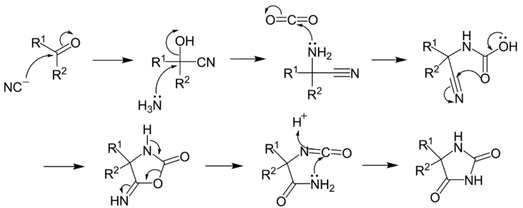 2039_Bucherer–Bergs-reaction-mechanism.png