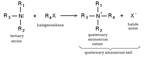 2148_Amine-alkylation1.png