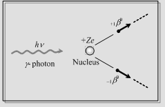 593_Nucleus8.png