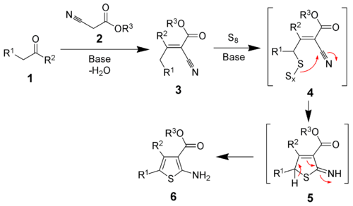 686_Gewald-reaction-mechanism.png