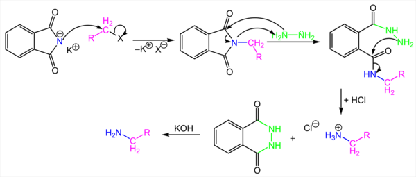 761_Gabriel-synthesis-mechanism.png