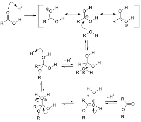 947_Fischer–Speier-esterification.png