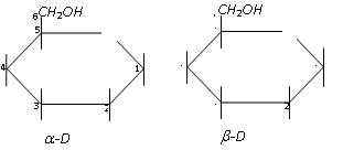 1004_structure of glucose4.png