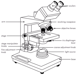 1032_Bright Field Microscopes.png