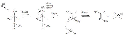 106_Mechanism for the elimination of water.png