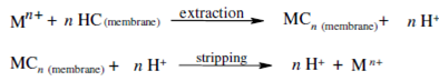 109_Transport in supported liquid membranes2.png