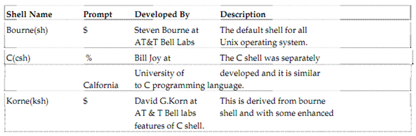 10_types of shell.png