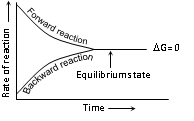 1108_equilibrium1.png