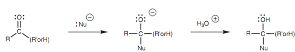 1173_Nucleophilic addition to a carbonyl group.png