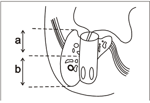 123_biology.png