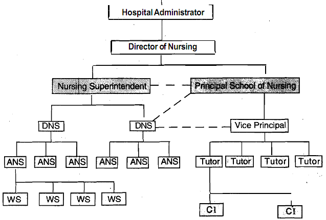 nursing org chart