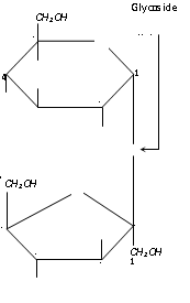 1348_sucrose.png