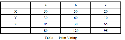 1349_Point Voting.png