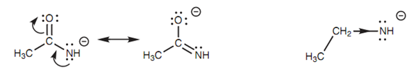 1364_Amines and amides1.png