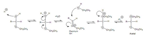 1365_Mechanism of acetal formation from a hemiacetal.png