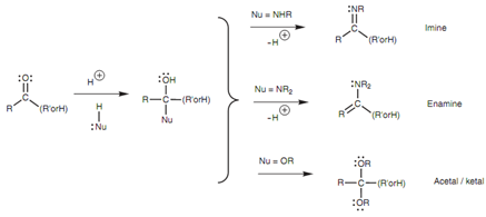 142_Nucleophilic addition to a carbonyl group1.png