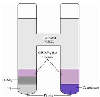 1519_Standard Cell.png