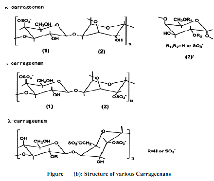 159_biology.png