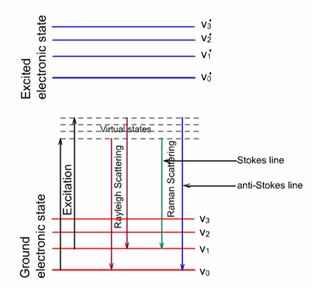 1602_Mechanism of Raman and Rayleigh scattering.png