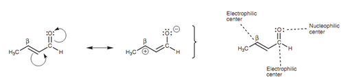 1633_Nucleophilic and electrophilic unsaturated centers.png