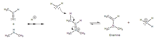 166_Enamine formation.png