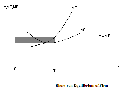 1835_Short-run Equilibrium of Firm.png