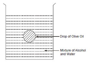 1837_Examples of Surface Tension.png