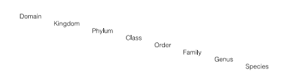 1843_Classification and taxonomy.png