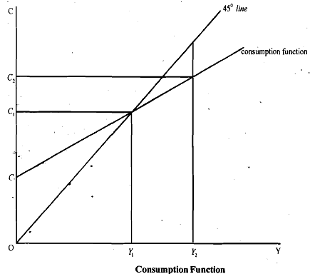 1891_Consumption Function1.png