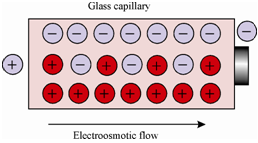 198_Electroosmotic Flow.png