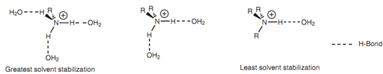 1993_Solvation effects.png