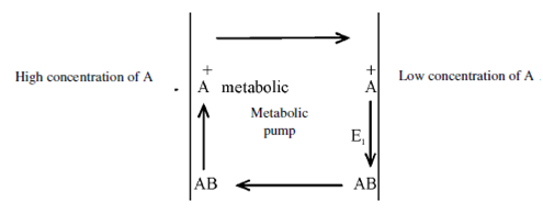 2002_Representation of active transport in cell membranes.png