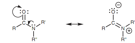 2044_Resonance contribution in an amide.png