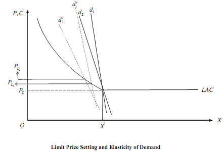 2075_Bains limit pricing model -A5.png