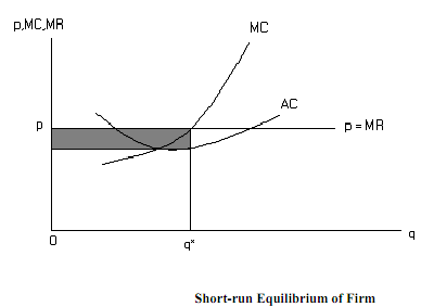 2109_Short-run Equilibrium of Firm.png