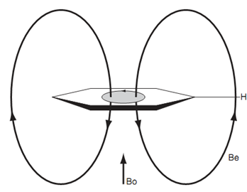 2166_Diamagnetic circulation.png