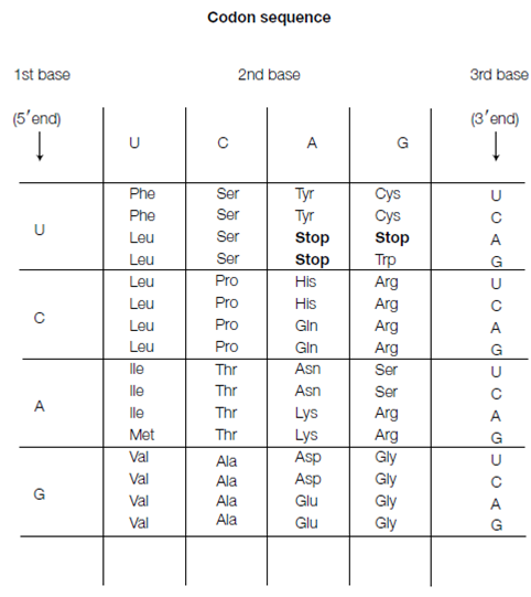 2171_Genetic code is degenerate.png
