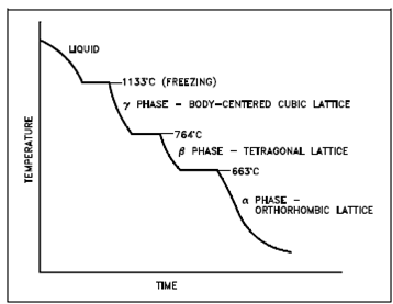 2182_Polymorphism Phase.png