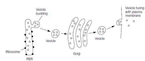 2194_Secretory proteins.png