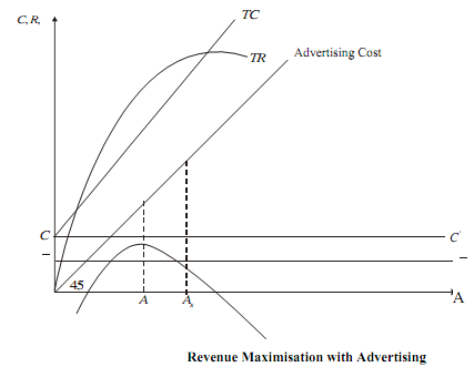 2202_A Single-product model with advertising.png