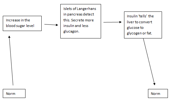 2257_control of blood sugar levels.png