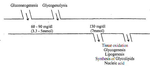 2286_Regulation of Blood Glucose Concentration.png