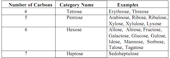 2389_Classifications based on the number of carbons.png