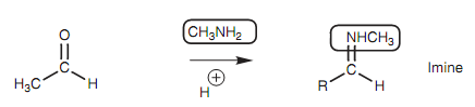 2403_Nucleophilic Addition – Nitrogen Nucleophiles.png