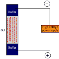 2449_Basic Principle and Operation.png