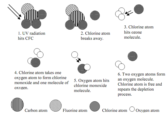 272_Ozone Depletion and Global Warming Potential1.png