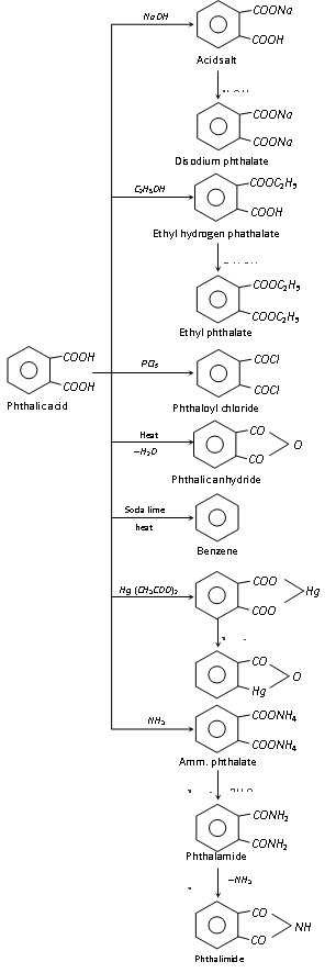 281_chemical properties of pthalic acid.png