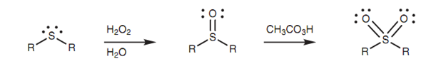 295_Synthesis of sulfoxides and sulfones.png