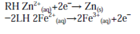 299_formal cell reaction2.png